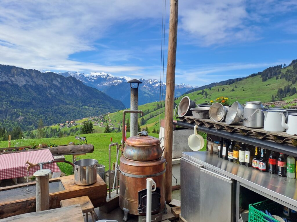 Alpine Cheese